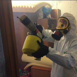 Уничтожение клопов в квартире. Поварово